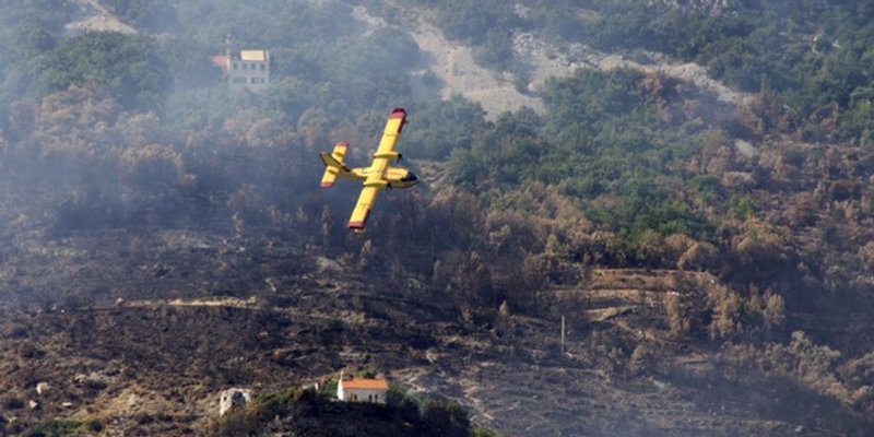 VIDEO: KAŠTEL SUĆURAC Požar je progutao 35 hektara šume, stradali maslinici i vinogradi