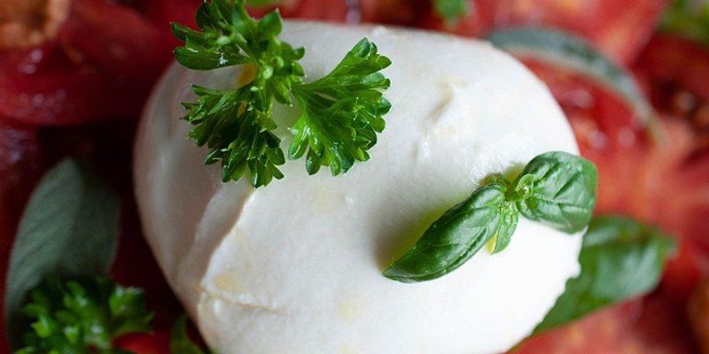 RECEPT Ljetna salata s mozzarellom