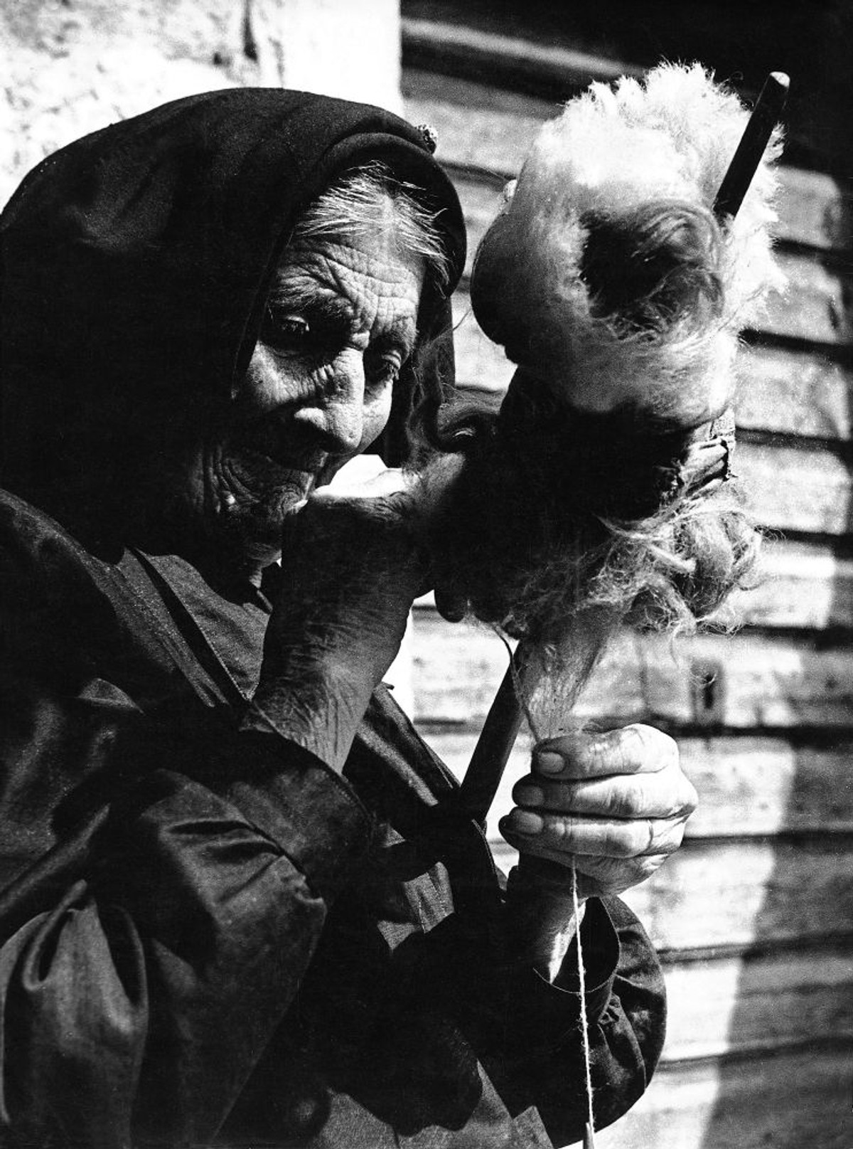 Andro Damjanić: Retrospektiva