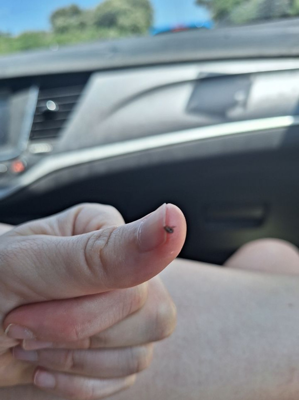 Grizu ih već dvije godine, prijave se gomilaju. Provjerili smo što se događa u zaleđu Omiša 