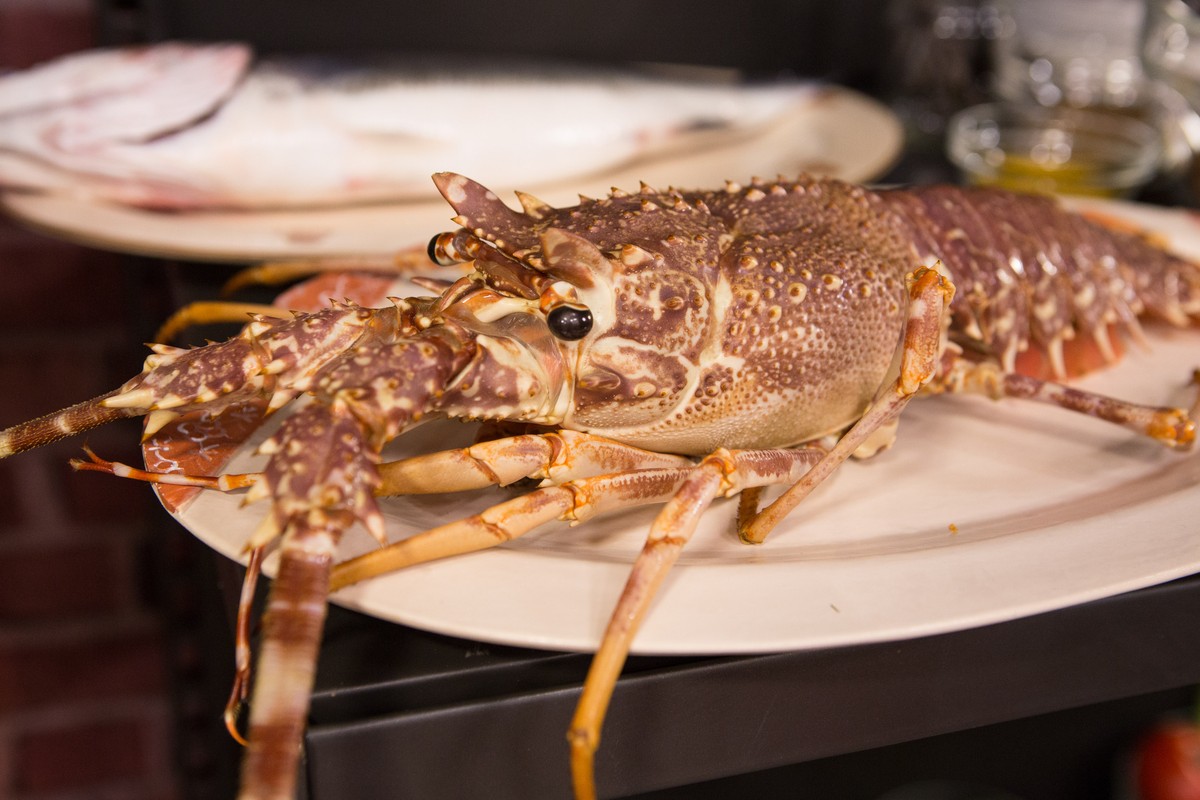 CHEF PAŽANIN OBJAŠNJAVA: Koja je razlika između hlapa i jastoga te škampi i kozica