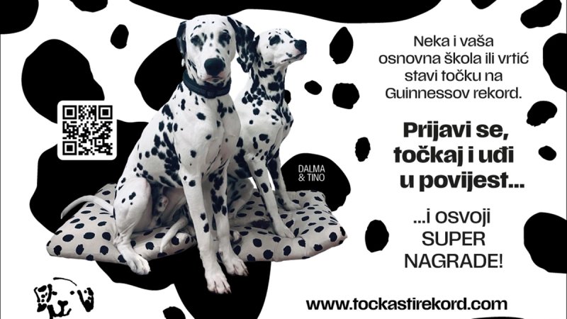 Hrvatska lovi Guinnessov rekord: Djeca iz cijele zemlje slikaju dalmatinske pse