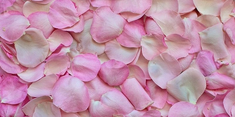 VJENČANICA IZ SNOVA? Romantična kreacija s oversized cvjetnim detaljem i odvažnim prorezom