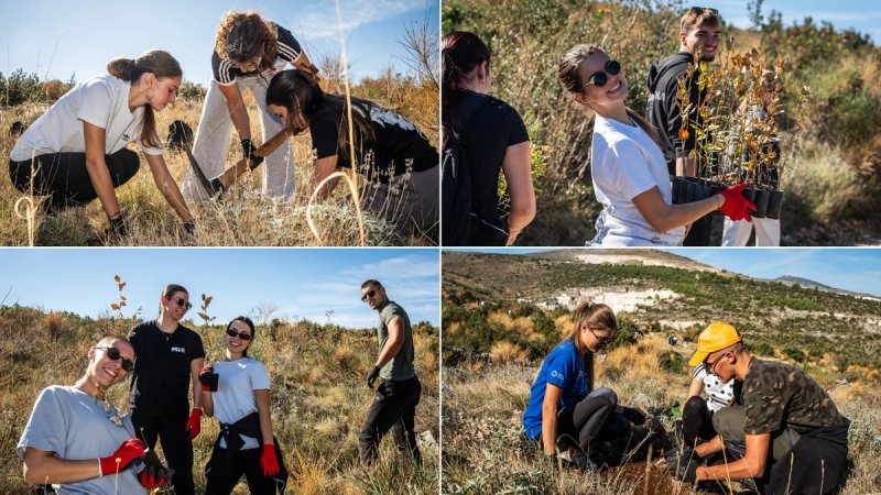 FOTO Posljednja ovogodišnja akcije Boranke, na pošumljavanju Planog iznad Trogira
