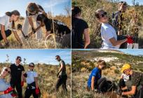 FOTO Posljednja ovogodišnja akcije Boranke, na pošumljavanju Planog iznad Trogira