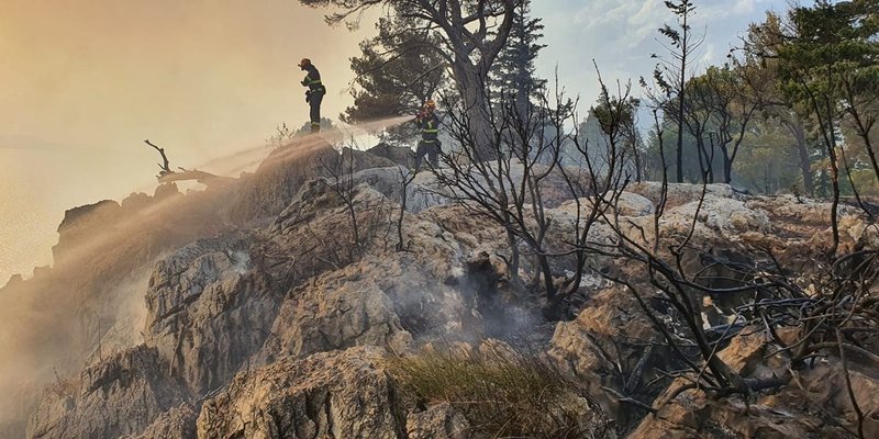 POŽAR NA MAKARSKOJ RIVIJERI Gori Kraljev gaj kraj Tučepa