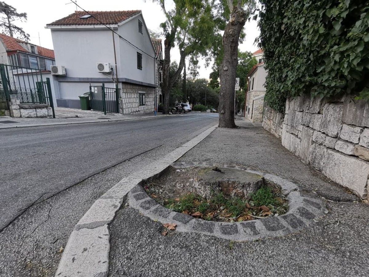 Uklonjeno stablo s Nazorovog prilaza