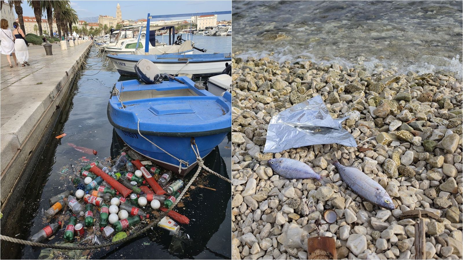 FOTOGALERIJA Na Matejuški smeće ponovno u moru: 'Ružna slika u srcu sezone'
