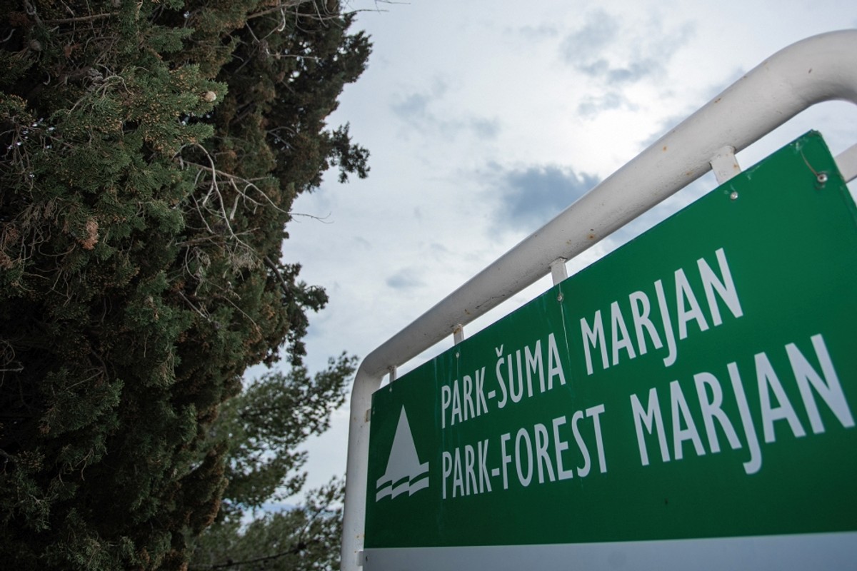 Marjan | Foto: Milan Šabić