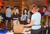 VIDEO Slatkoljupci, spremite se: Kreće 2. SlatCroFesta by Slatkopedija!