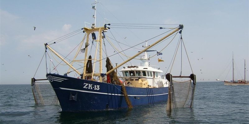 PRIJATELJI ŽIVOTINJA: Hrvatska još uvijek nije zabranila pogubne koće