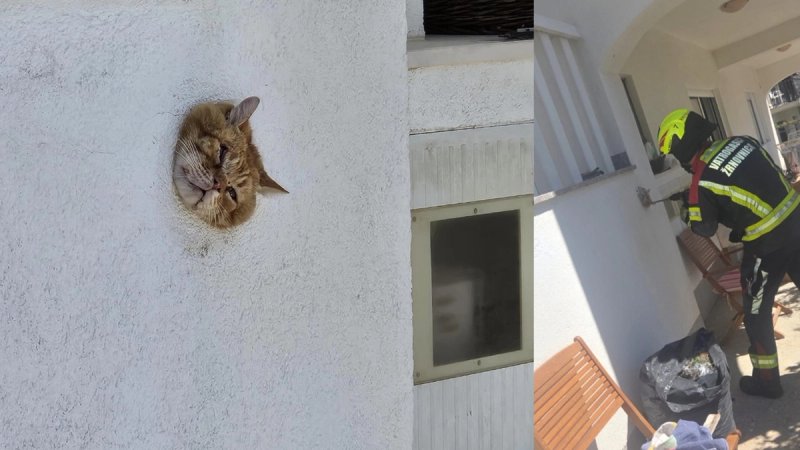 ŽRNOVNICA Vatrogasci spašavali macu iz nezavidne situacije