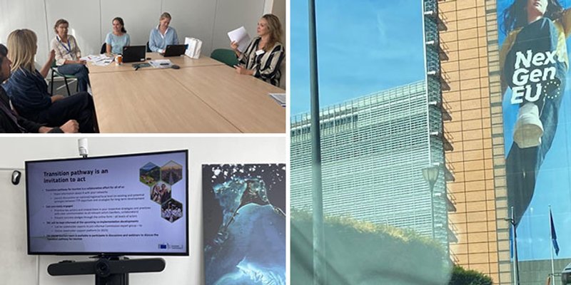 EUROPE DIRECT SPLIT 'Održivi turizam bit će prioritet u našem novom godišnjem komunikacijskom planu'