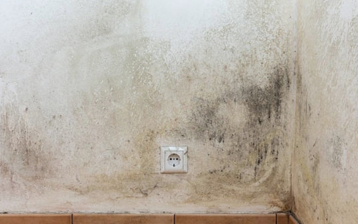 Ljetna vlaga kuca na vrata - iskoristite 30% popusta i trajno se riješite vlažnih zidova i plijesni uz vrhunsku ventilaciju!