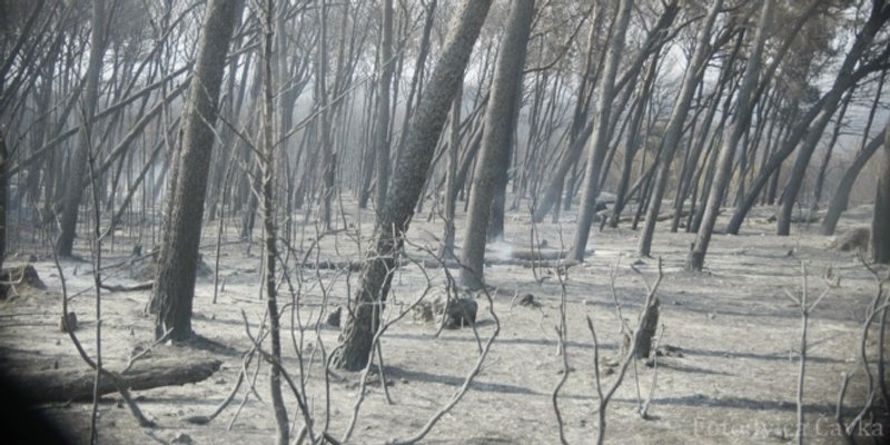 Rano jutros stanje u Lokvi Rogoznici je dobro, požar je lokaliziran pola sata iza ponoći