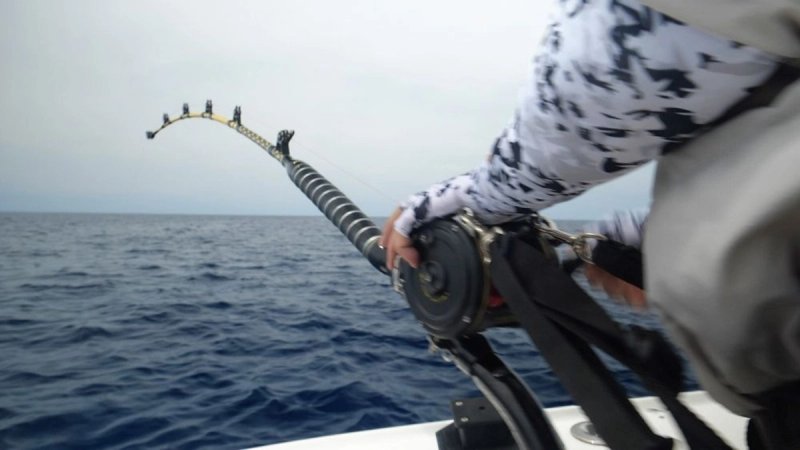 ribar big game fishing