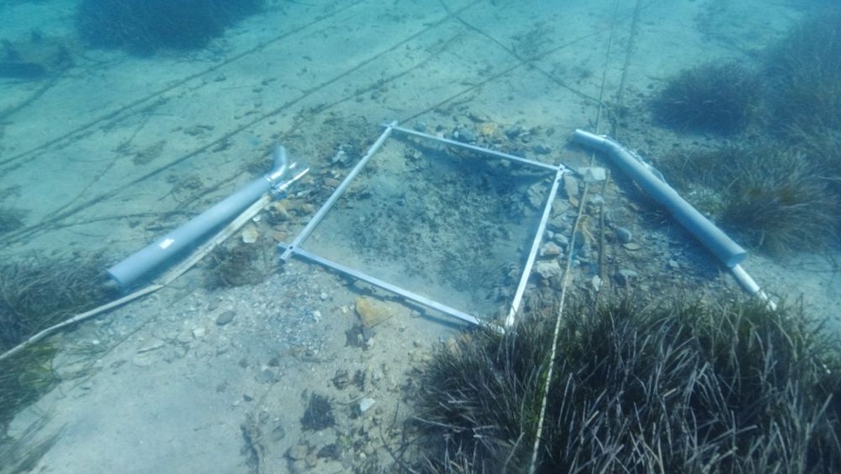 Podvodna arheologija u Hvaru | foto: Kantharos