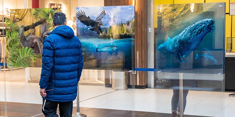 Izložba koja se ne propušta