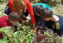 FOTO: Tradicionalnom proljetnom uređenju Vrtla u Dominisovoj pomogli i učenici OŠ Dobri