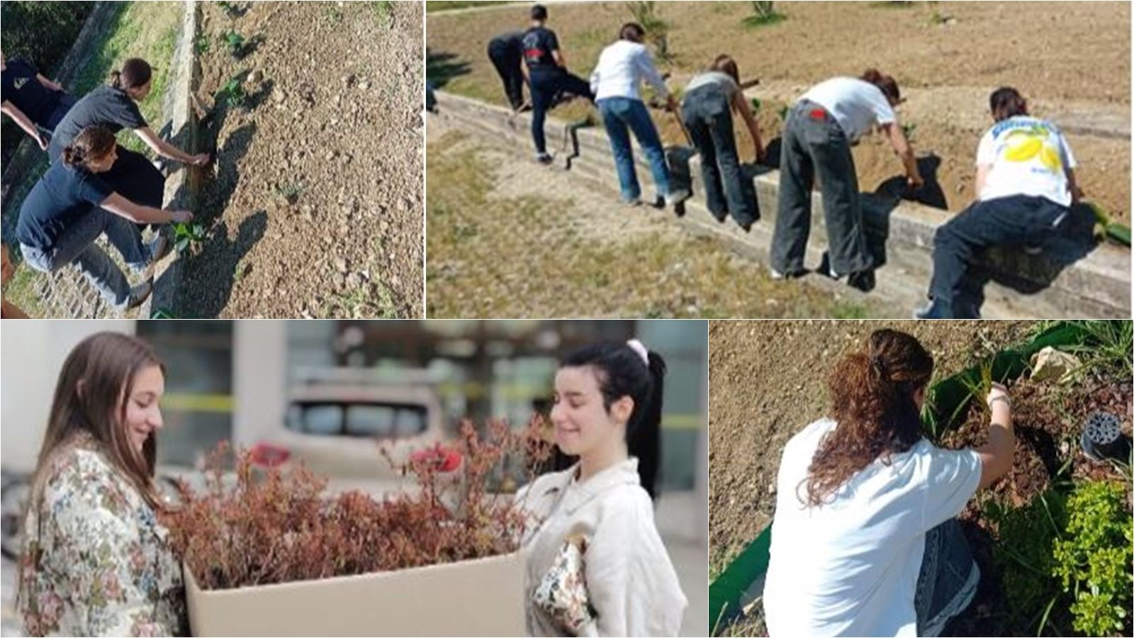 Eko tjedan u Prirodoslovnoj školi Split: Od ugljičnog otiska do Malog vrta – učenici pokazuju kako se čuva planet!