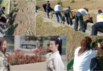 Eko tjedan u Prirodoslovnoj školi Split: Od ugljičnog otiska do Malog vrta – učenici pokazuju kako se čuva planet!