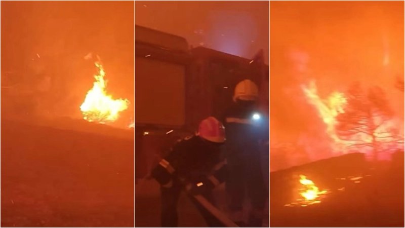 Snimka borbe za kuće ledi krv u žilama…