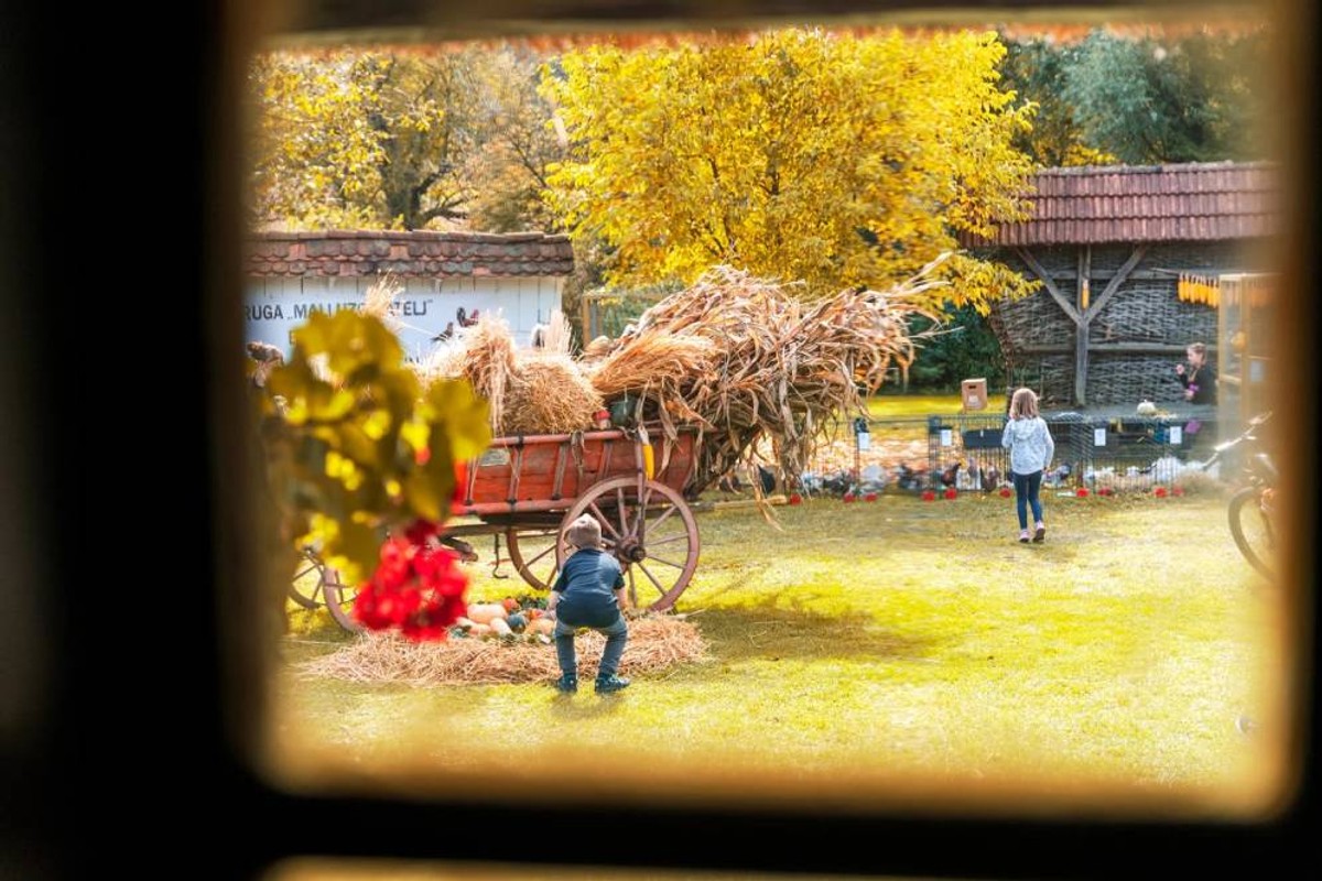 Vino opušta, priroda smiruje a djetinjstvo zove: Doživljaj više čeka vas u Bjelovarsko-bilogorskoj županiji