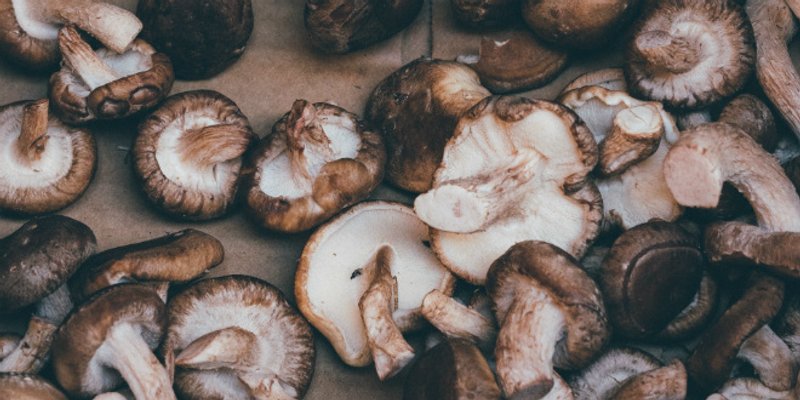 RECEPT Gljive iz pećnice