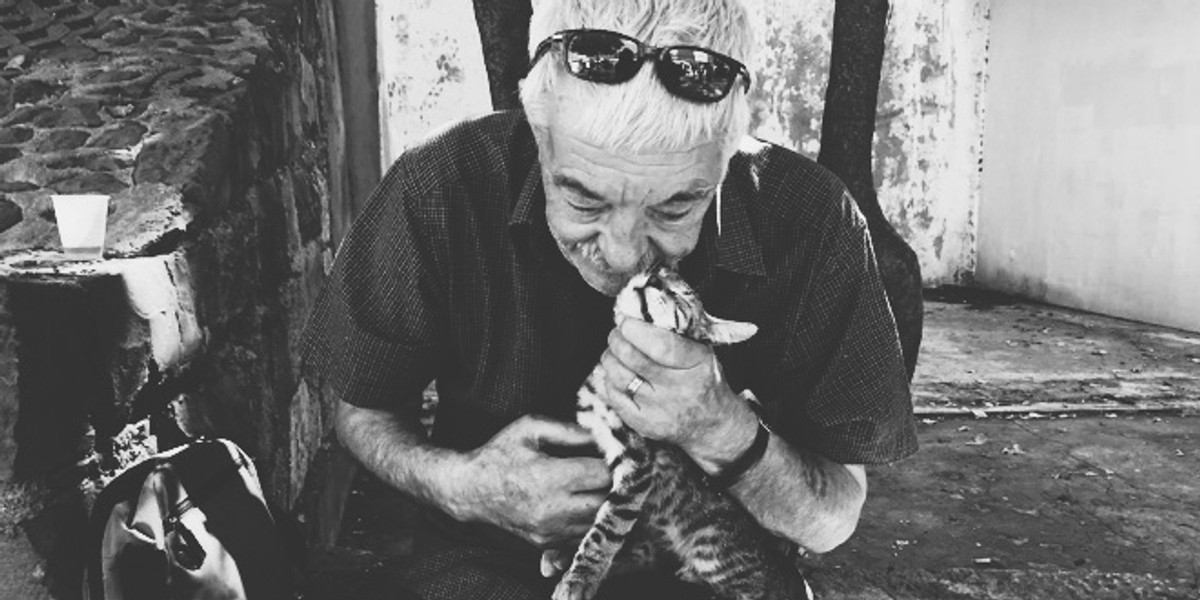 Umirovljena profesorica preuzela brigu o čoporu mačaka u Marmontovoj, nakon što su preminuli njegovi prethodni 'skrbnici'