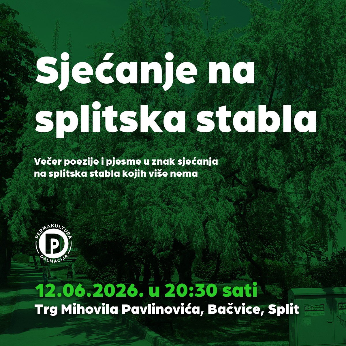 Permakultura Dalmacija organizira tri događanja posvećena zaštiti splitskih stabala i urbanog zelenila