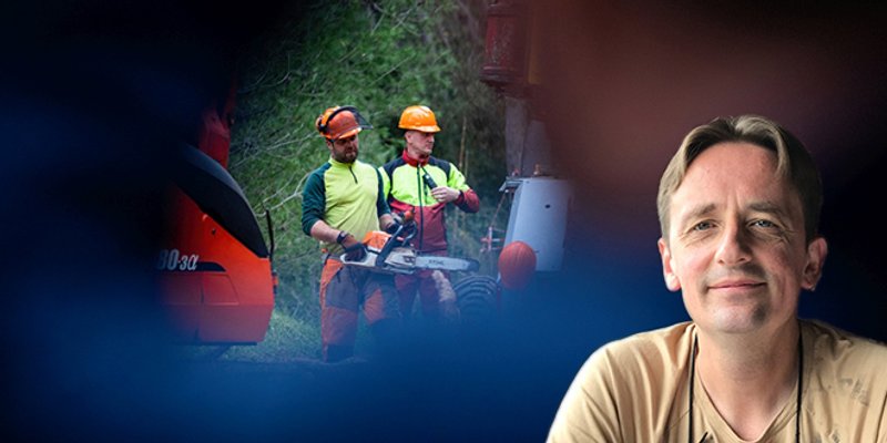 APEL DR. SMODLAKE: Zbog nepotrebnog pustošenja u početku akcije sanacije marjanske šume, pozivam da se smijene odgovorni i dovedu neovisni šumarski stručnjaci