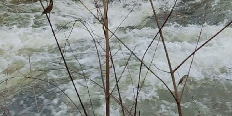 IZVUČENO TIJELO MUŠKARCA Policija objavila nove informacije o slijetanju automobila u Neretvu