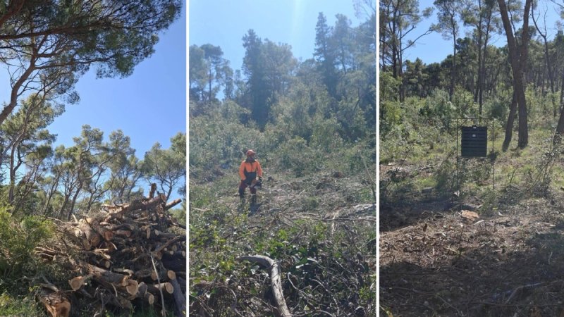 marjan sanacija vjetrolom