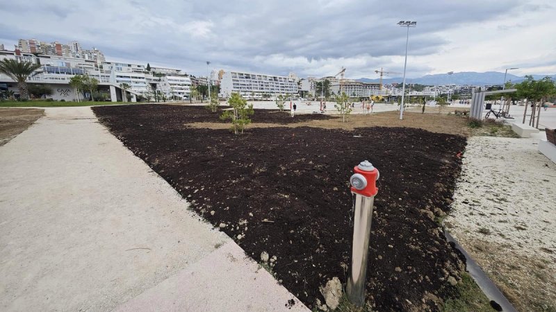 HUMUS NA ŽNJANU 'Što rade genijalci, a što kažu stručnjaci'