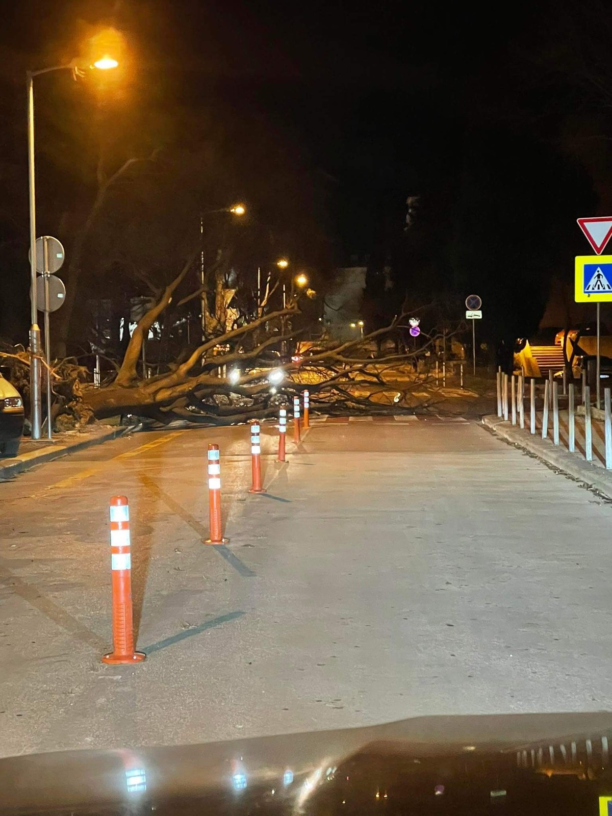 FOTO Stablo palo na cestu na Plokitama