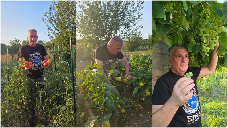 FOTO Bulj ubire plodove svog vrta