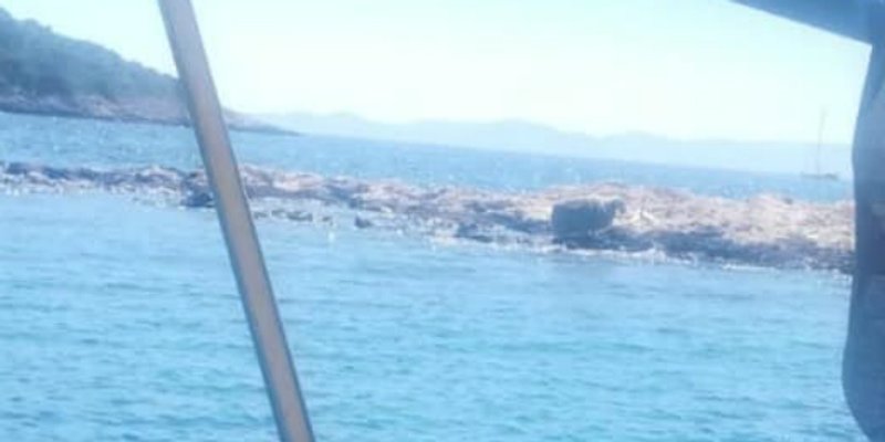 Na Paklenim otocima na vrućini ostavljena ovca bez hrane i vode