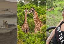 ŽIVOT LUTALICE 'Morali smo potpisati izjavu da boravimo na vlastitu odgovornost, a shvatili smo i zašto kada su nas okružili šakali'