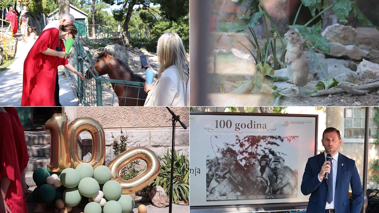 FOTOGALERIJA Marjanski zoološki slavi 100 godina! Nekad su tamo bili tigrovi iza rešetaka, danas kozice i magarci među djecom