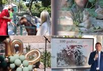 FOTOGALERIJA Marjanski zoološki slavi 100 godina! Nekad su tamo bili tigrovi iza rešetaka, danas kozice i magarci među djecom