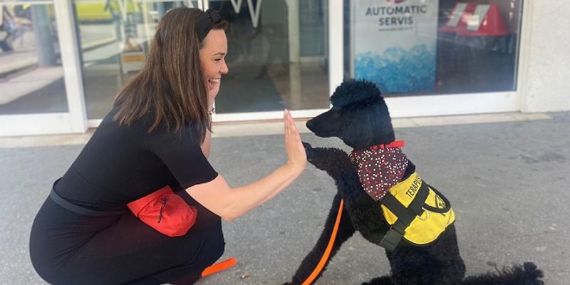 KBC Split prva je bolnica u Hrvatskoj koja ima vlastitog terapijskog psa