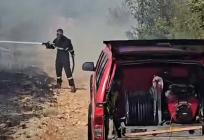 VIDEO Planulo u Dicmu