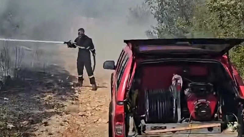 VIDEO Planulo u Dicmu