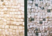 GALERIJA MANUŠ Otvara se izložba Bojana Stojčića 'Discoteca Mediterranea'