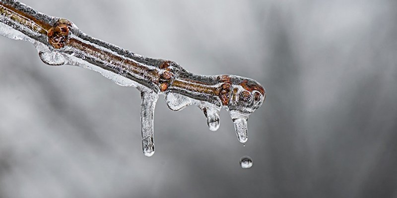 Sibirska anticiklona u Europu krajem siječnja donosi polarnu hladnoću