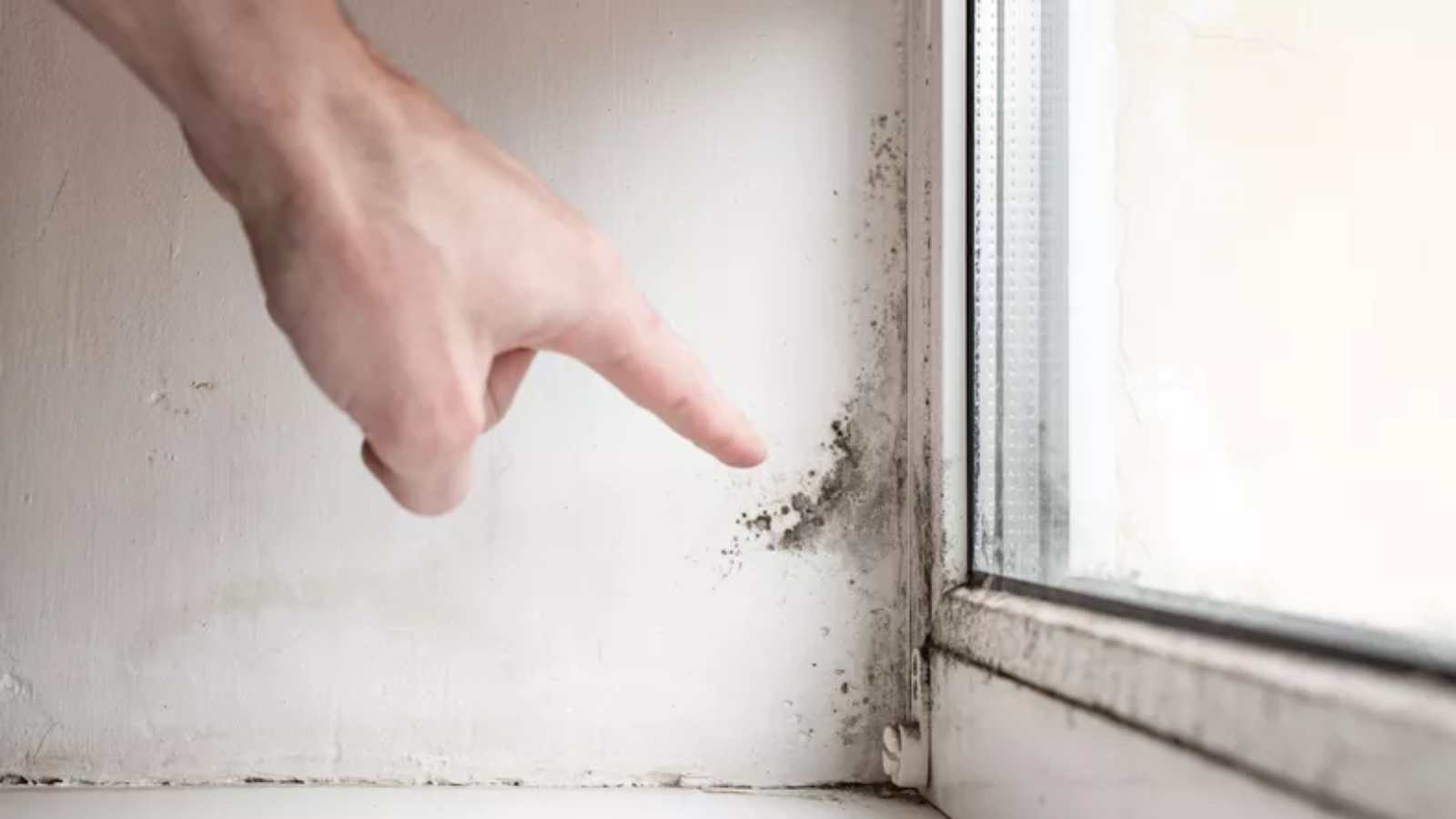 Kako je Livio iz Marčane sasvim uklonio vlagu i plijesan u svom domu i apartmanu?