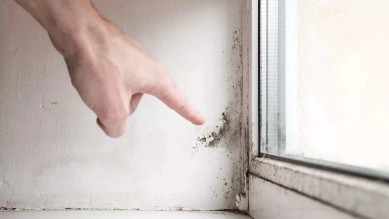Kako je Livio iz Marčane sasvim uklonio vlagu i plijesan u svom domu i apartmanu?