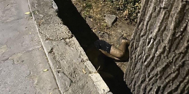 MLADA SPLIĆANKA ZGROŽENA 'Uz redovno obavljanje nuždi u parkiću pored Đardina, možete naići i na ovo'