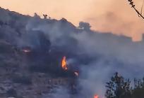 VIDEO Požar na Pelješcu pod nadzorom, vatrogasci spriječili širenje vatre