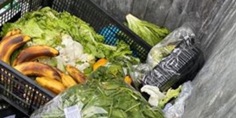 NEVJEROJATNO: U ovo vrijeme Splićani bezdušno bacaju hranu